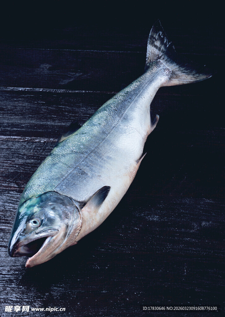 新鲜三文鱼摆放在深色背景