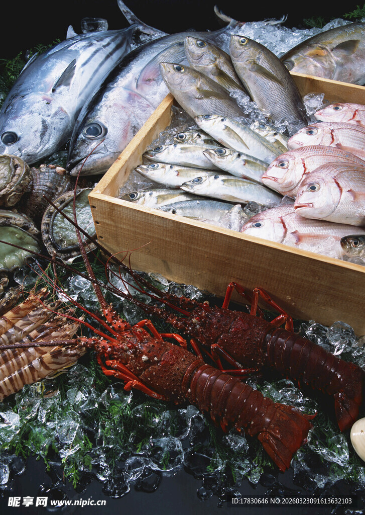 新鲜海产与河鲜大集合