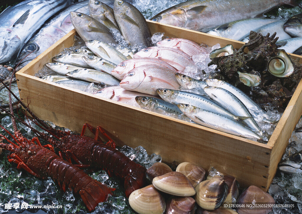 木盒中多样新鲜海产与菌菇