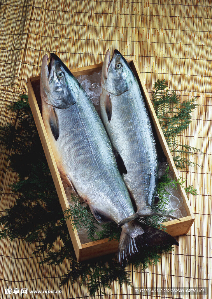 木盒中的新鲜海鱼