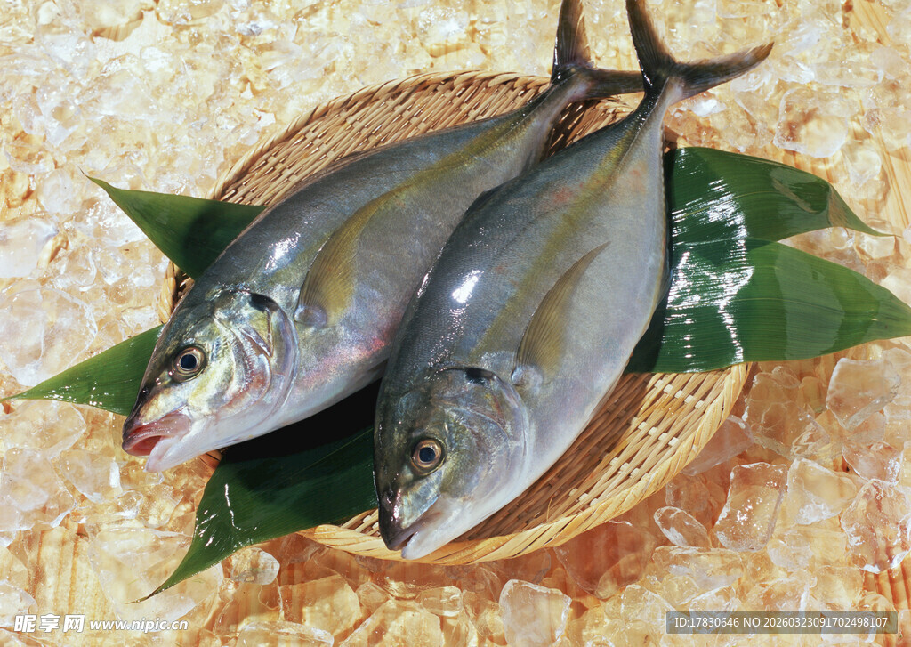 新鲜双鲭鱼摆于竹盘上