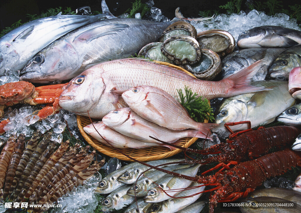 新鲜多样海鲜陈列展示