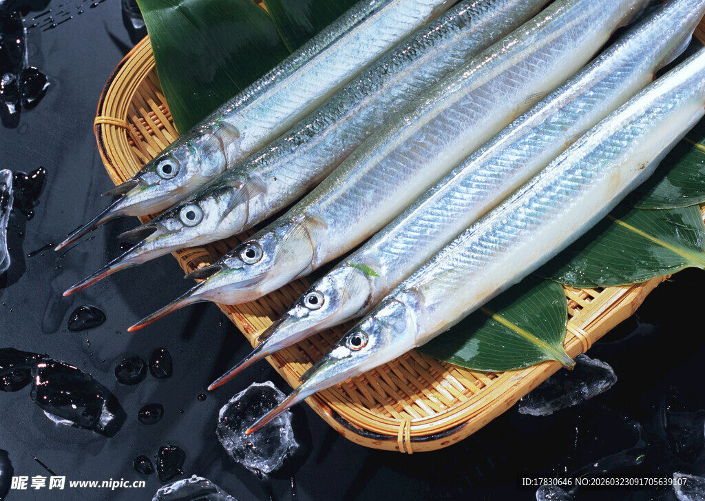 冰鲜多春鱼摆放在绿叶上