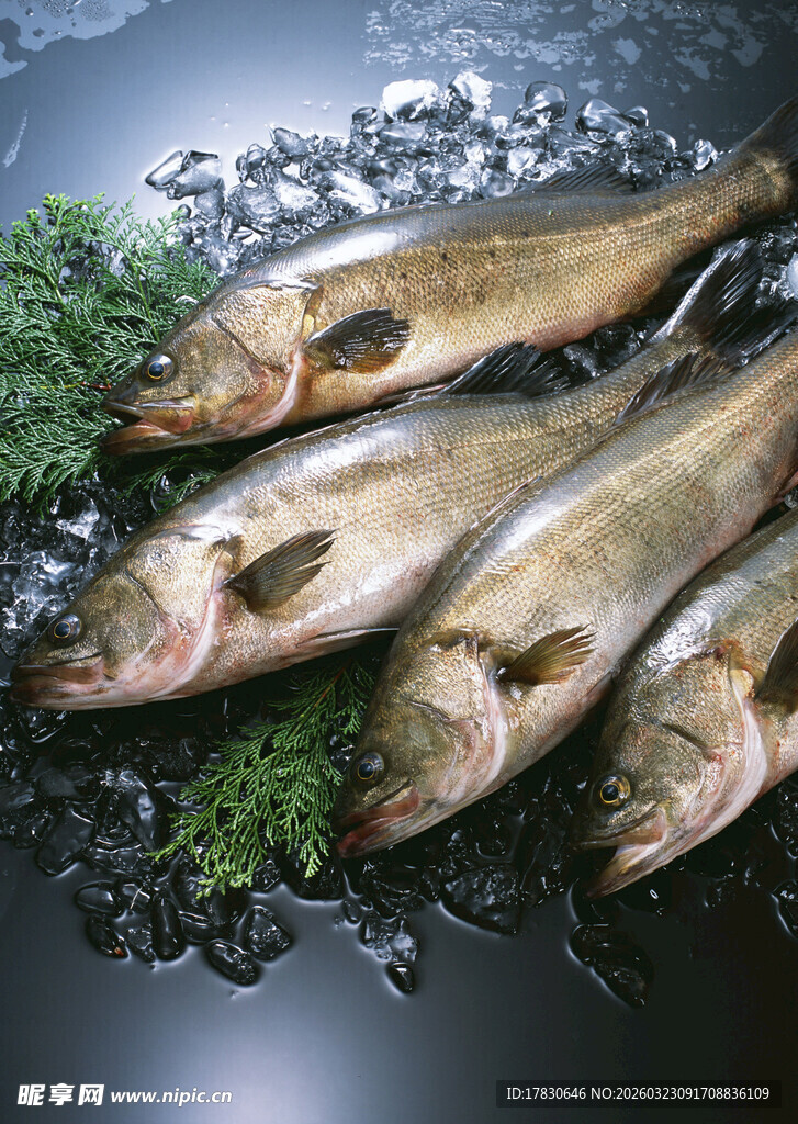 冰鲜鲈鱼配翠绿香草