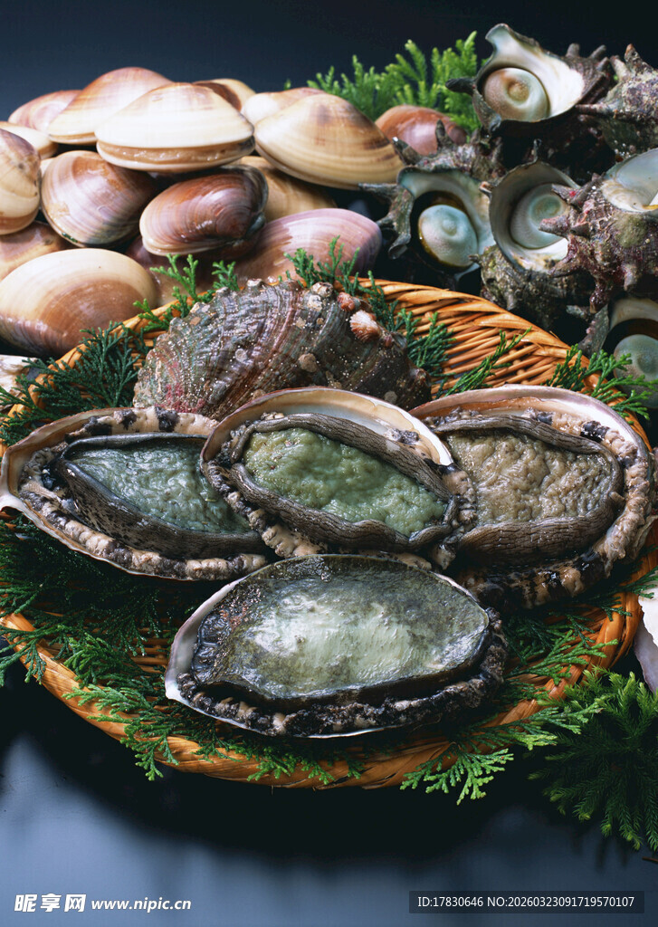 新鲜生蚝多样贝类海鲜