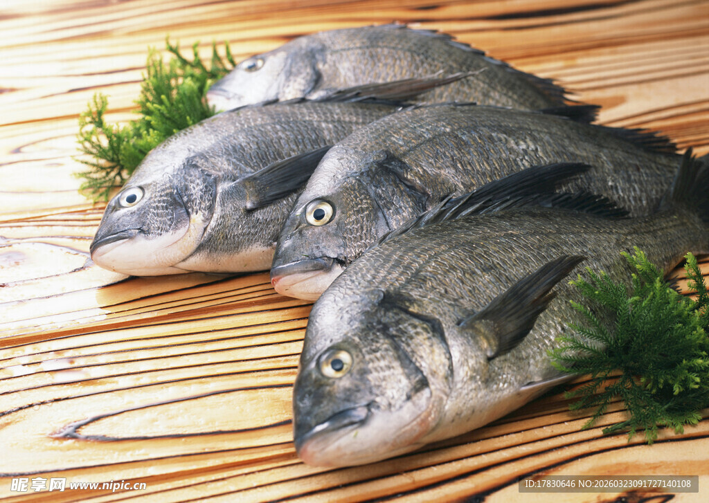 木桌上的鲜鱼与绿植