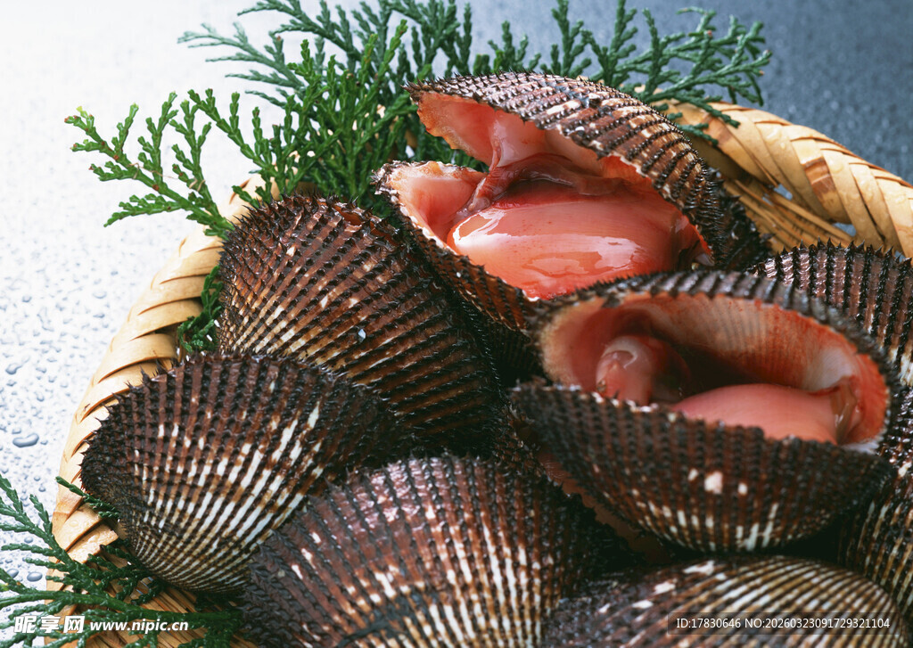 竹篮中的新鲜海螺