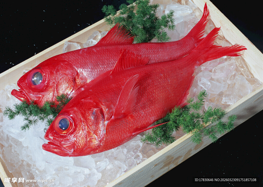 冰鲜红鱼色泽诱人