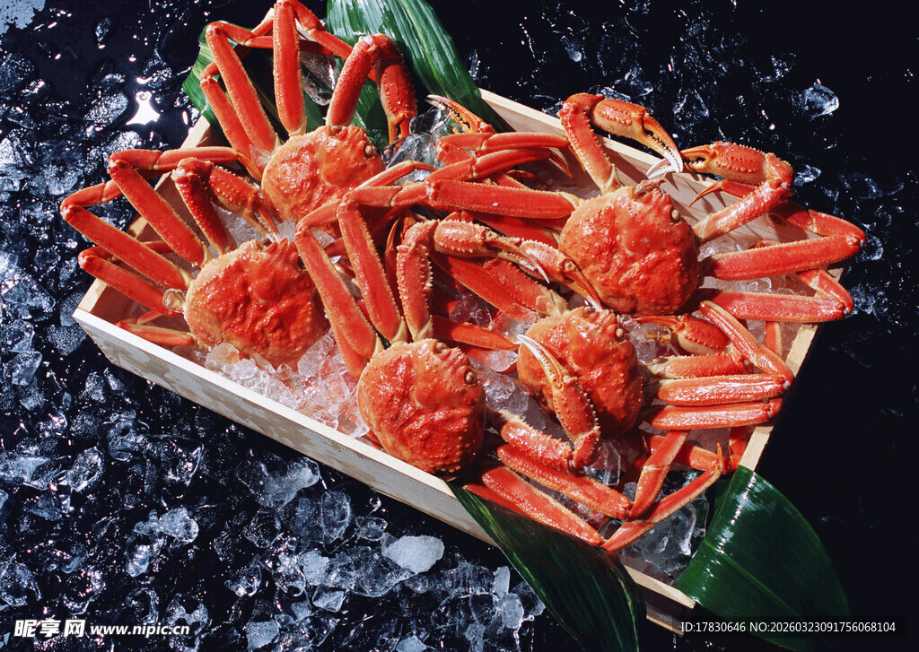 冰鲜大螃蟹色泽诱人