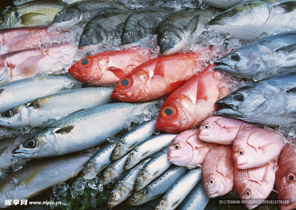 多样鲜鱼齐聚水产市场