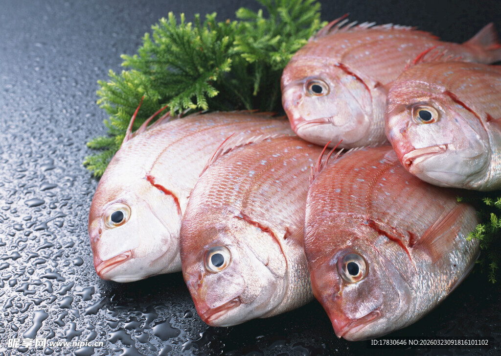 新鲜红鲷鱼色泽诱人