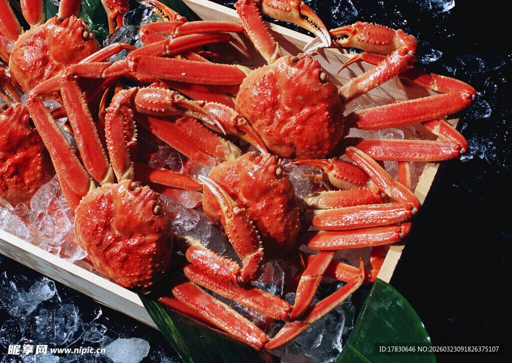 冰鲜大闸蟹色泽诱人