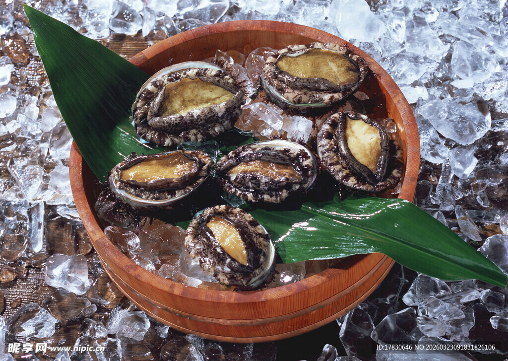 陶碗盛冰鲜鲍鱼