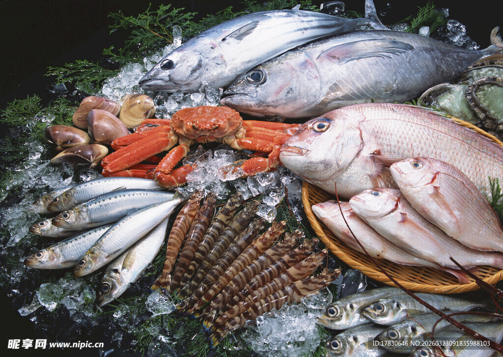 新鲜多样海鲜大集合
