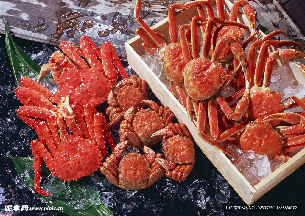 新鲜多样海鲜展示