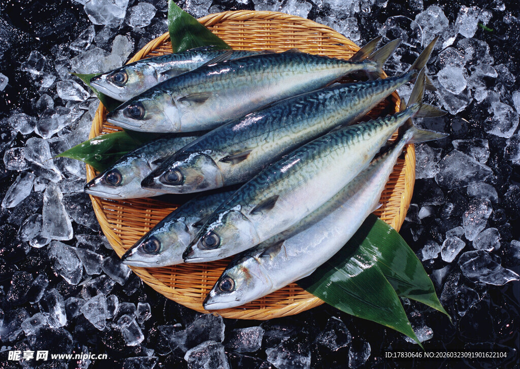 冰鲜海鱼摆于木盘之上