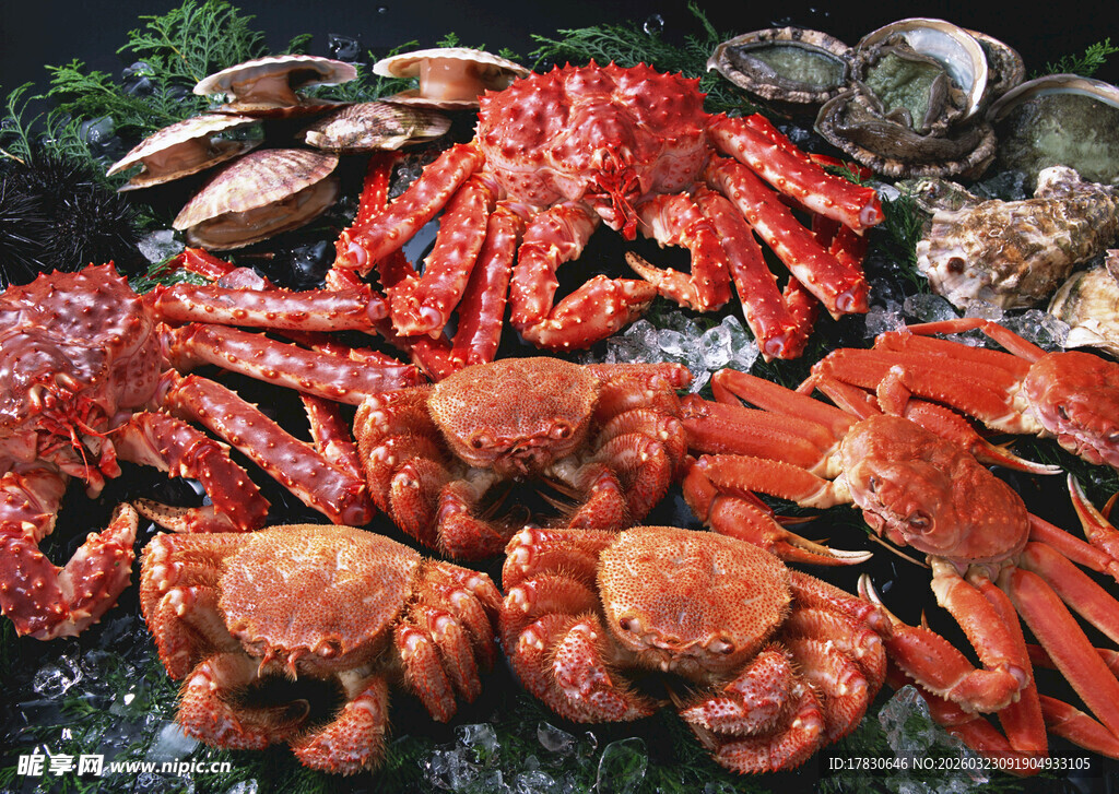 新鲜多彩海鲜大集合