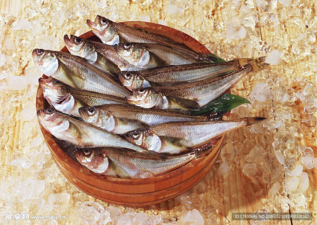 木碗中的新鲜小鱼