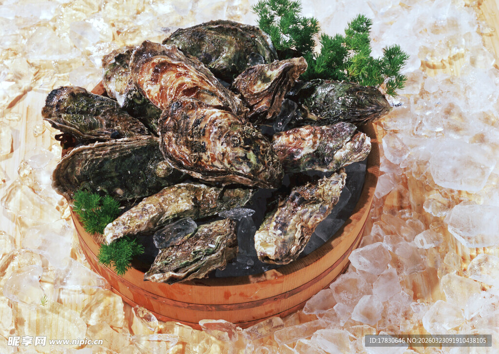 陶碗中的新鲜生蚝