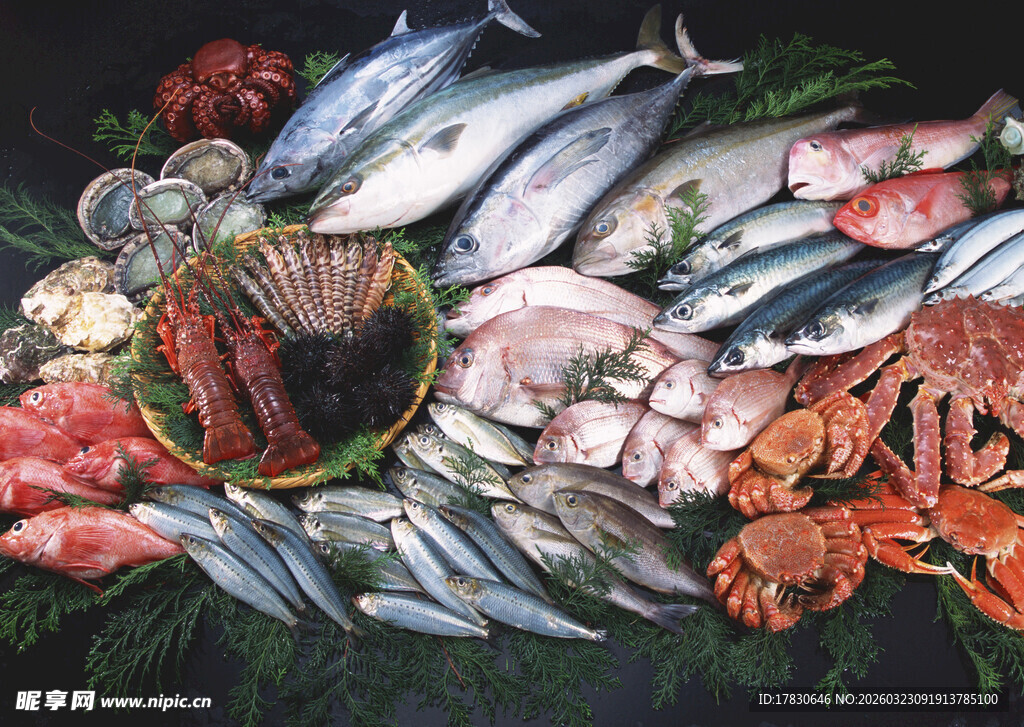 丰富多样的新鲜海鲜大集合