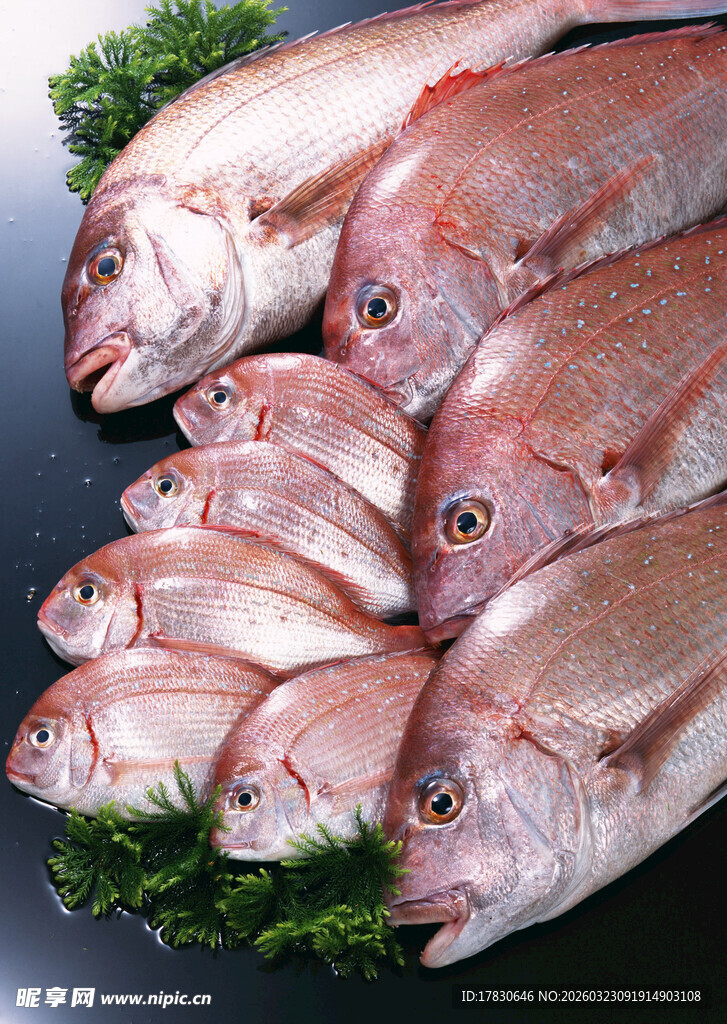 新鲜红鱼堆叠展示