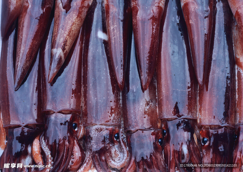 生锈铁栅栏上的尖刺