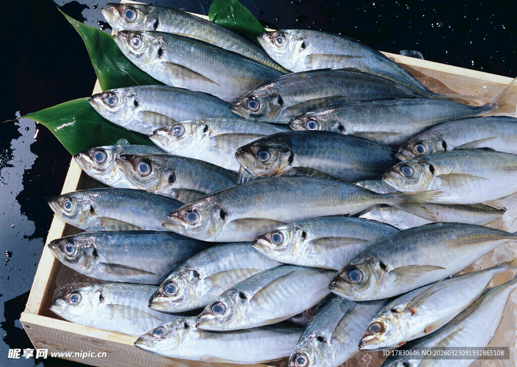 木盒中的新鲜海鱼