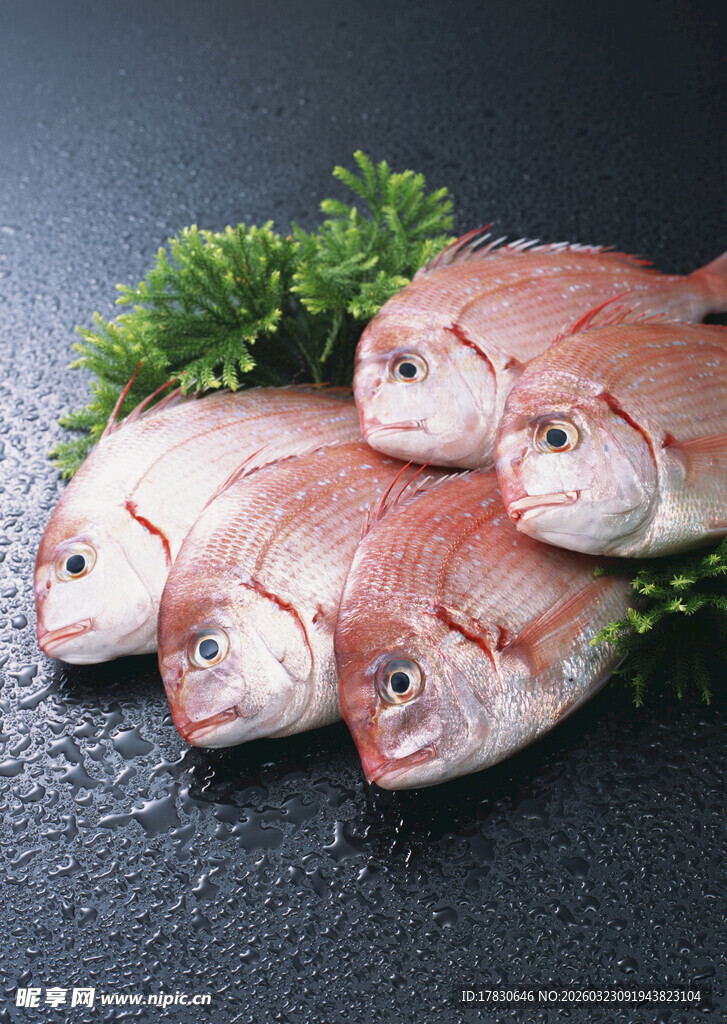 新鲜红鲷鱼搭配翠绿香草