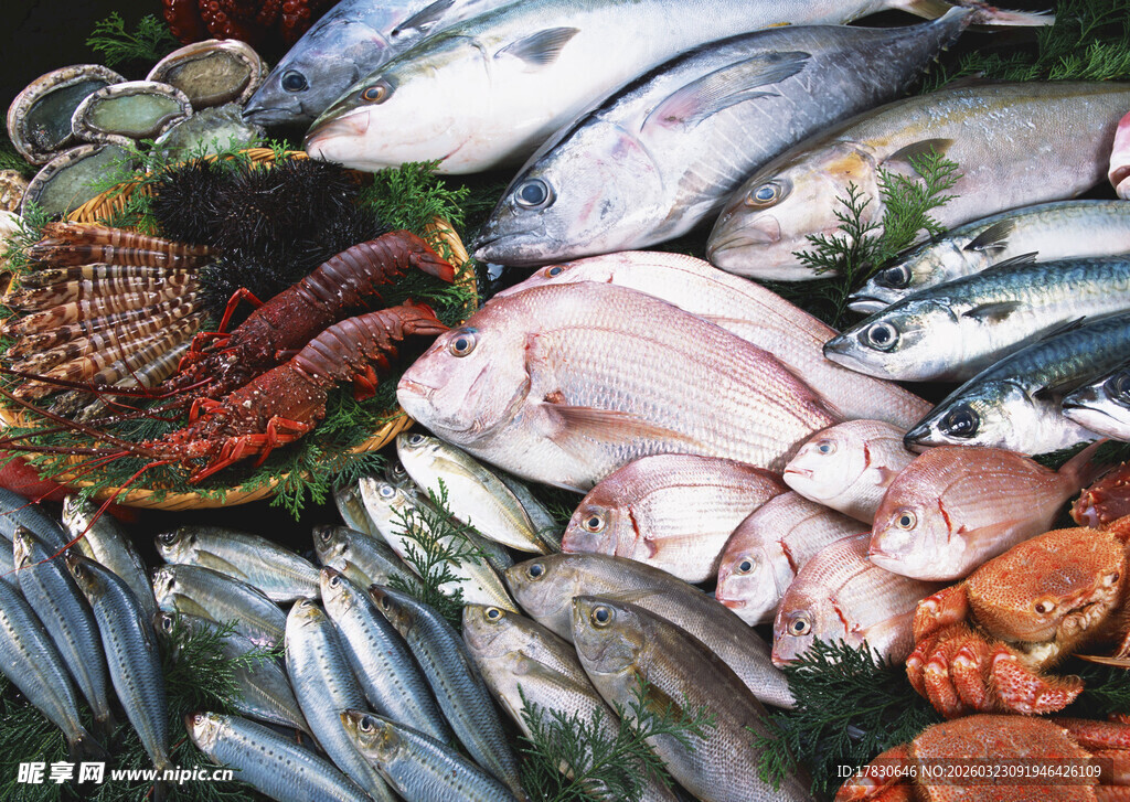 新鲜多样海鲜大集合