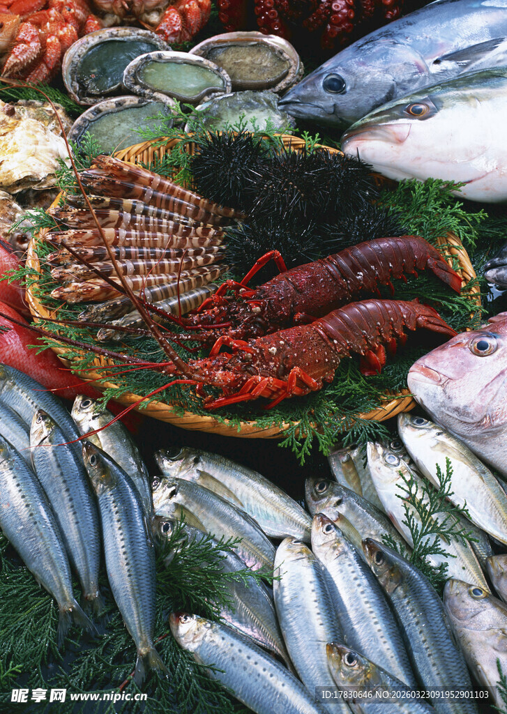 新鲜多样海鲜齐聚一堂