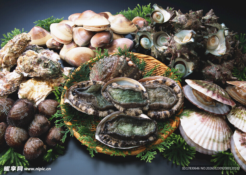 多样海鲜拼盘展示