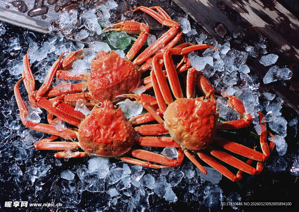 冰鲜大螃蟹色泽诱人
