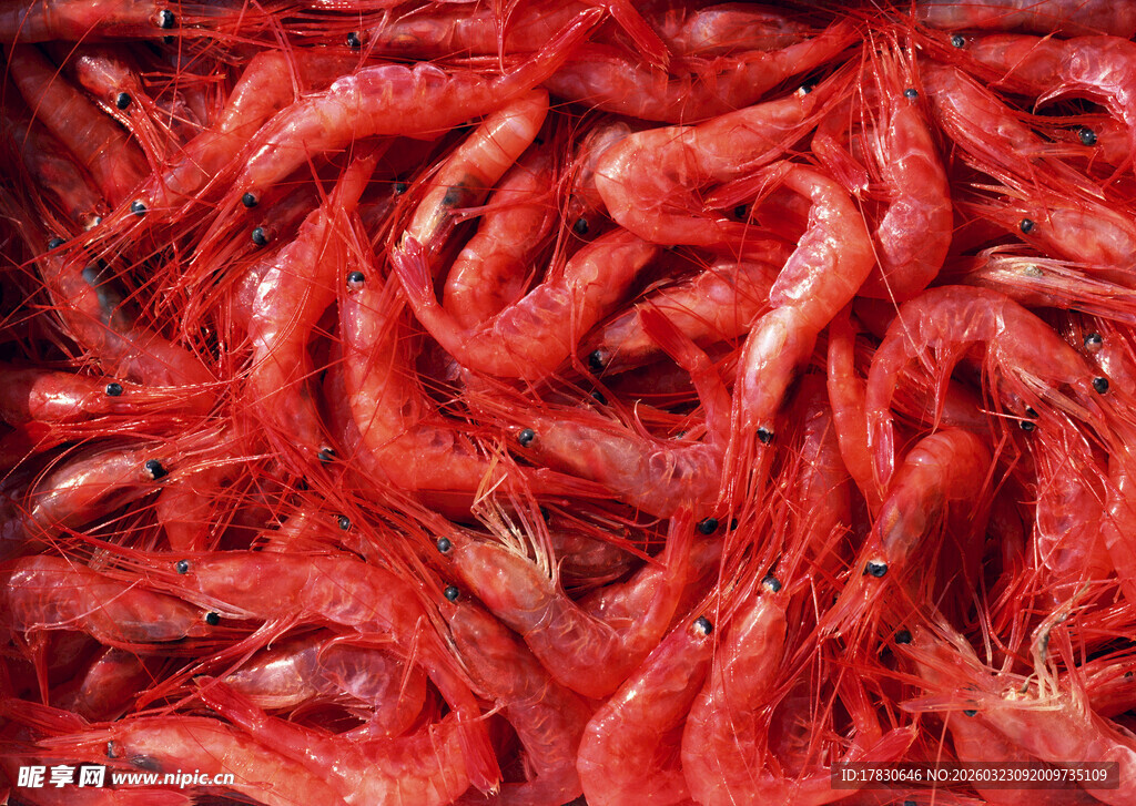 鲜红小龙虾堆叠