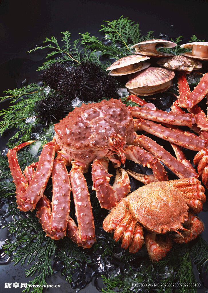 鲜活大螃蟹色泽诱人