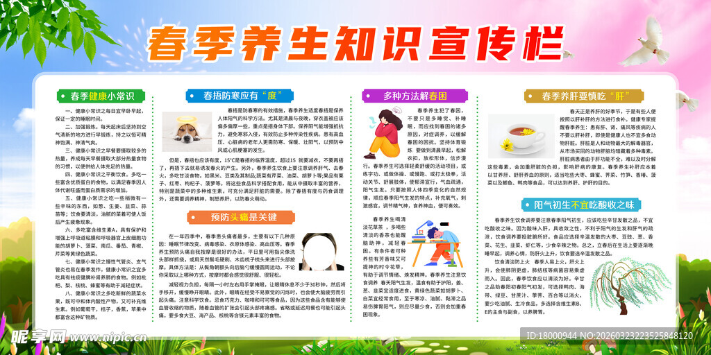 春季养生健康知识