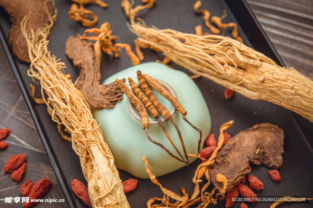 传统中药材展示