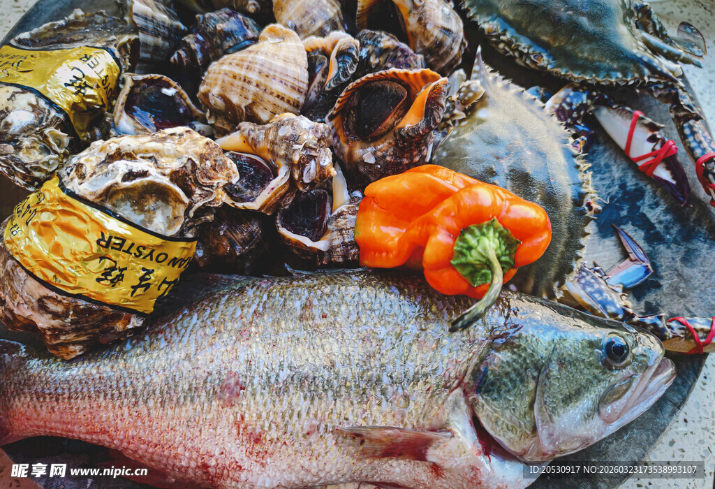 冰冻新鲜的海鲜美食素材
