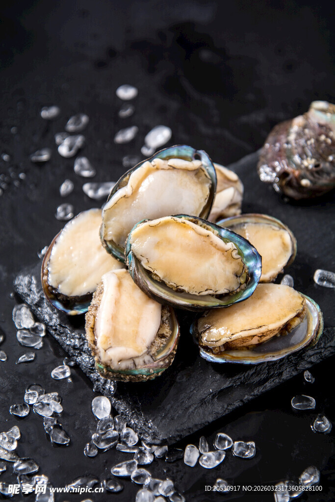 新鲜鲍鱼置于黑色石板上