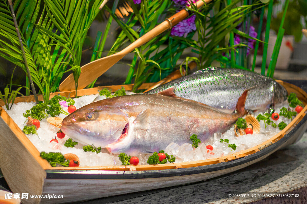 三文鱼鲜鱼海鲜生鲜美食