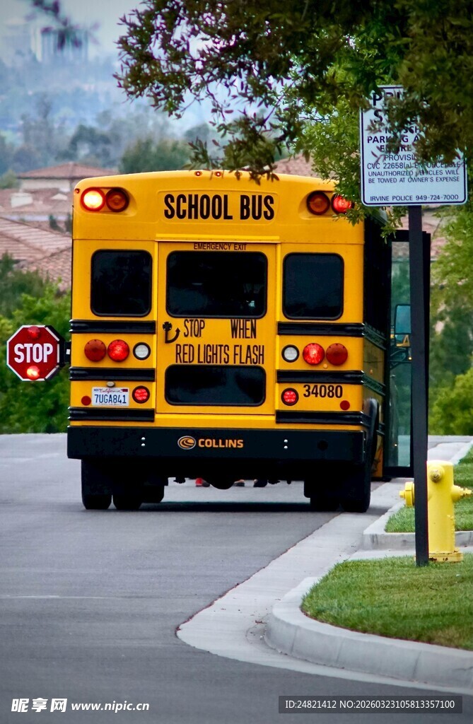 黄色校车行驶在道路上