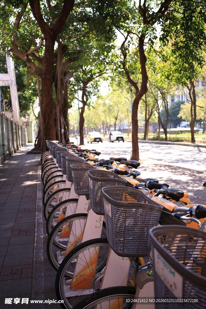 街边树荫下的户外休闲桌椅