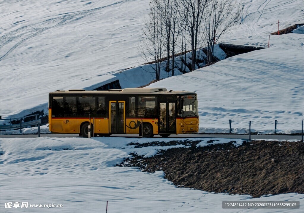 雪地上的黄色巴士