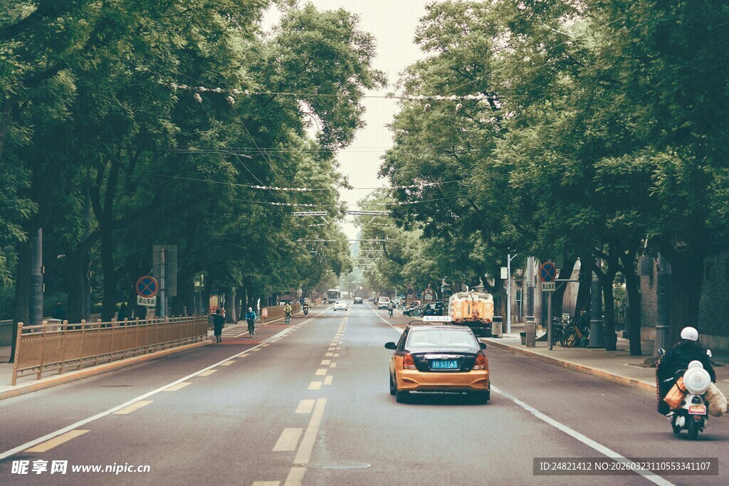 林荫大道上的车辆与行人