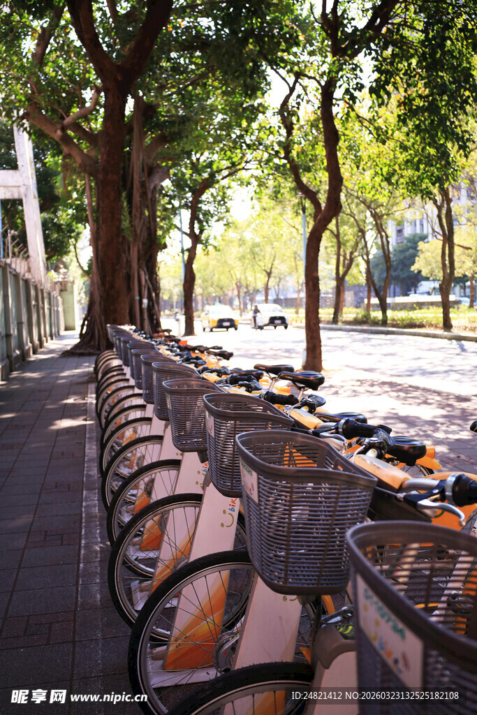 街边树荫下的休闲座椅