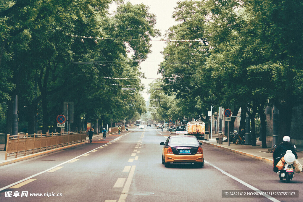 林荫大道上的车辆与行人