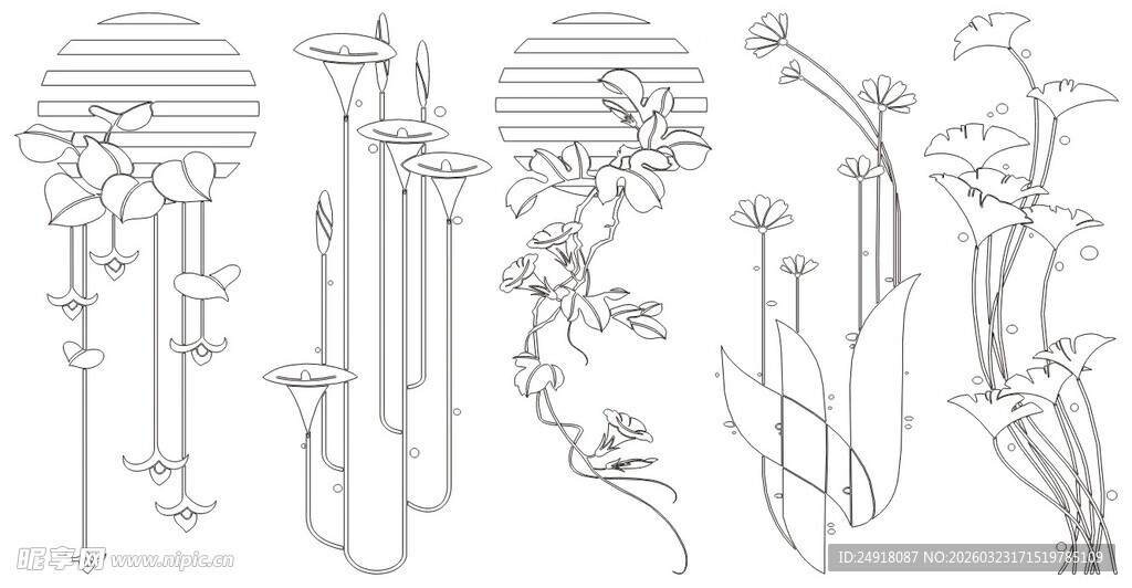 植物线条结构图示例