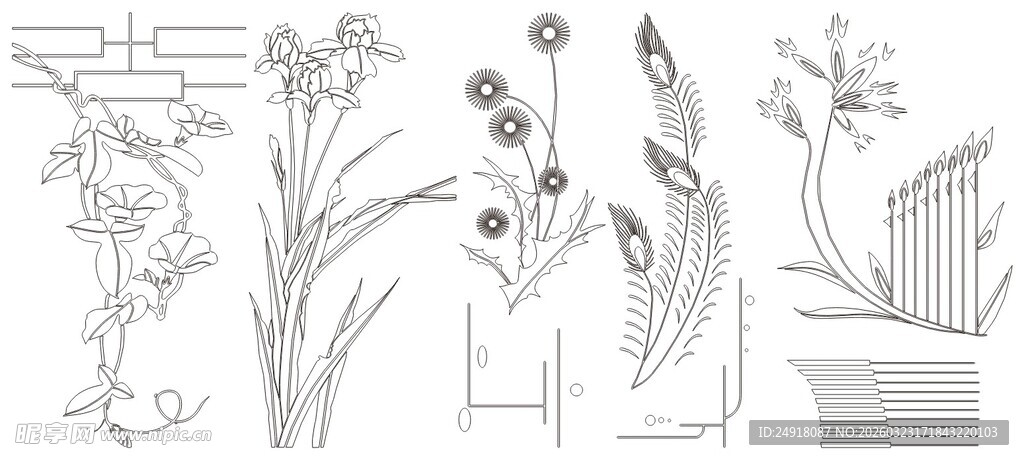 手绘植物花卉线稿图