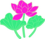 粉色莲花与绿叶图案