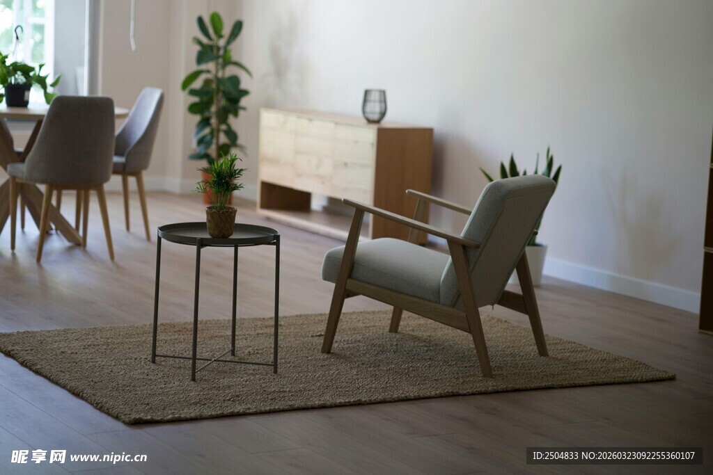 简约客厅中的舒适休闲座椅