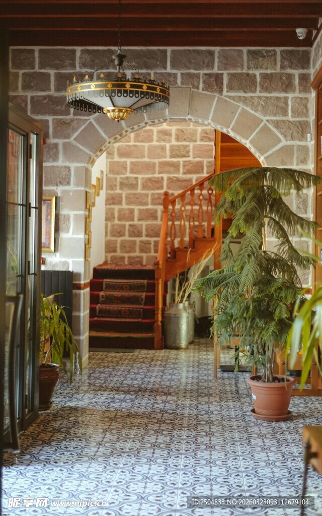 复古庭院过道绿植景观